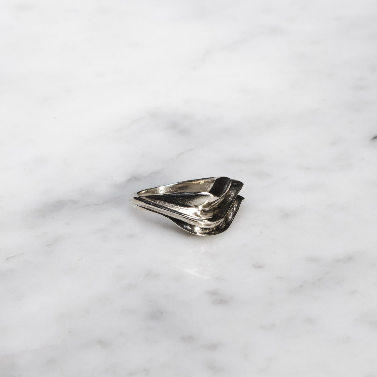 Lumbre Anillo Semilla