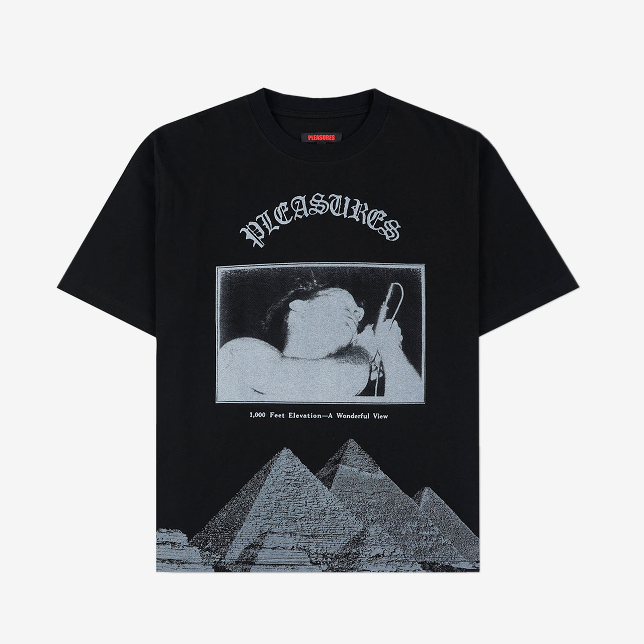 Pleasures Elevation Heavyweight Shirt - Black