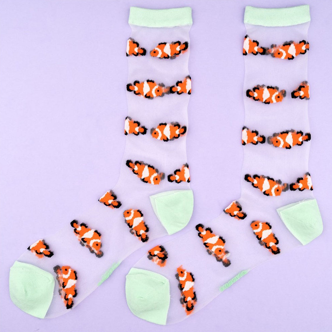 Calcetines - Poisson Clown Transparentes