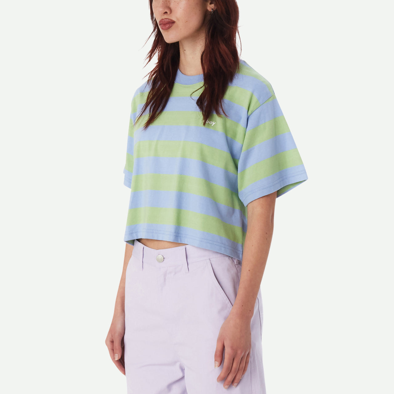 Obey Adams Stripe Cropped Tee