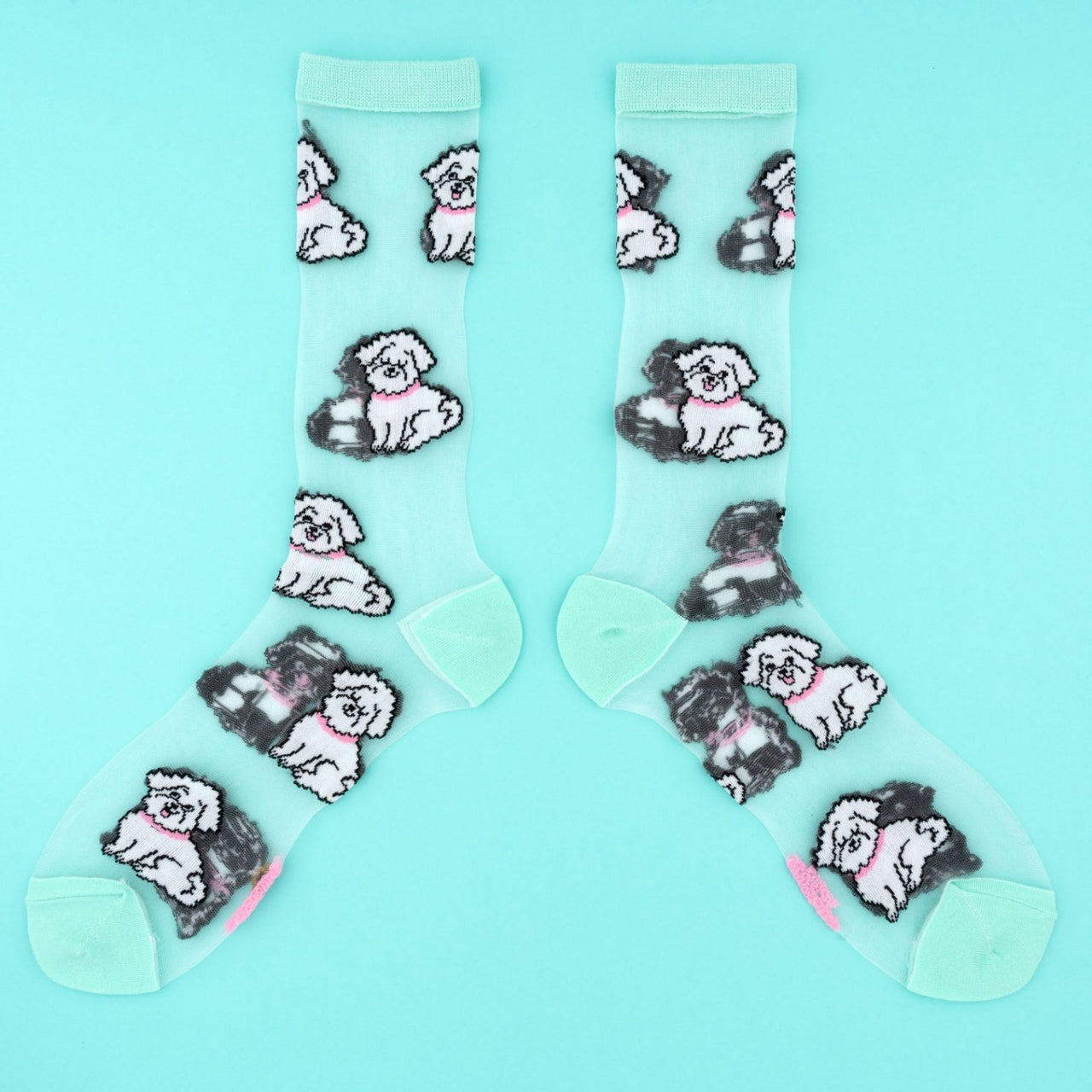 Calcetines - Transparentes Bichon