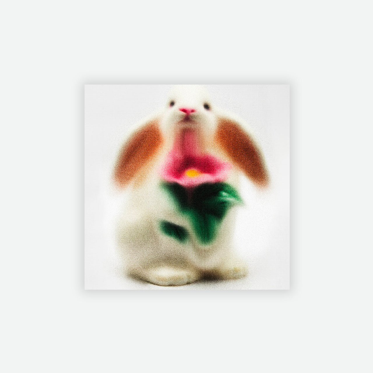 Belenabels Print Rabbit