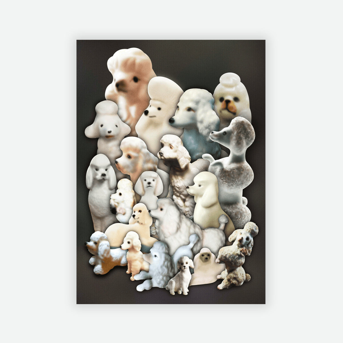 Belenabels Print Poodles