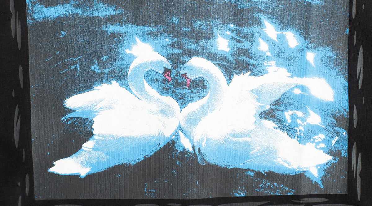 Imagen de lanzamiento