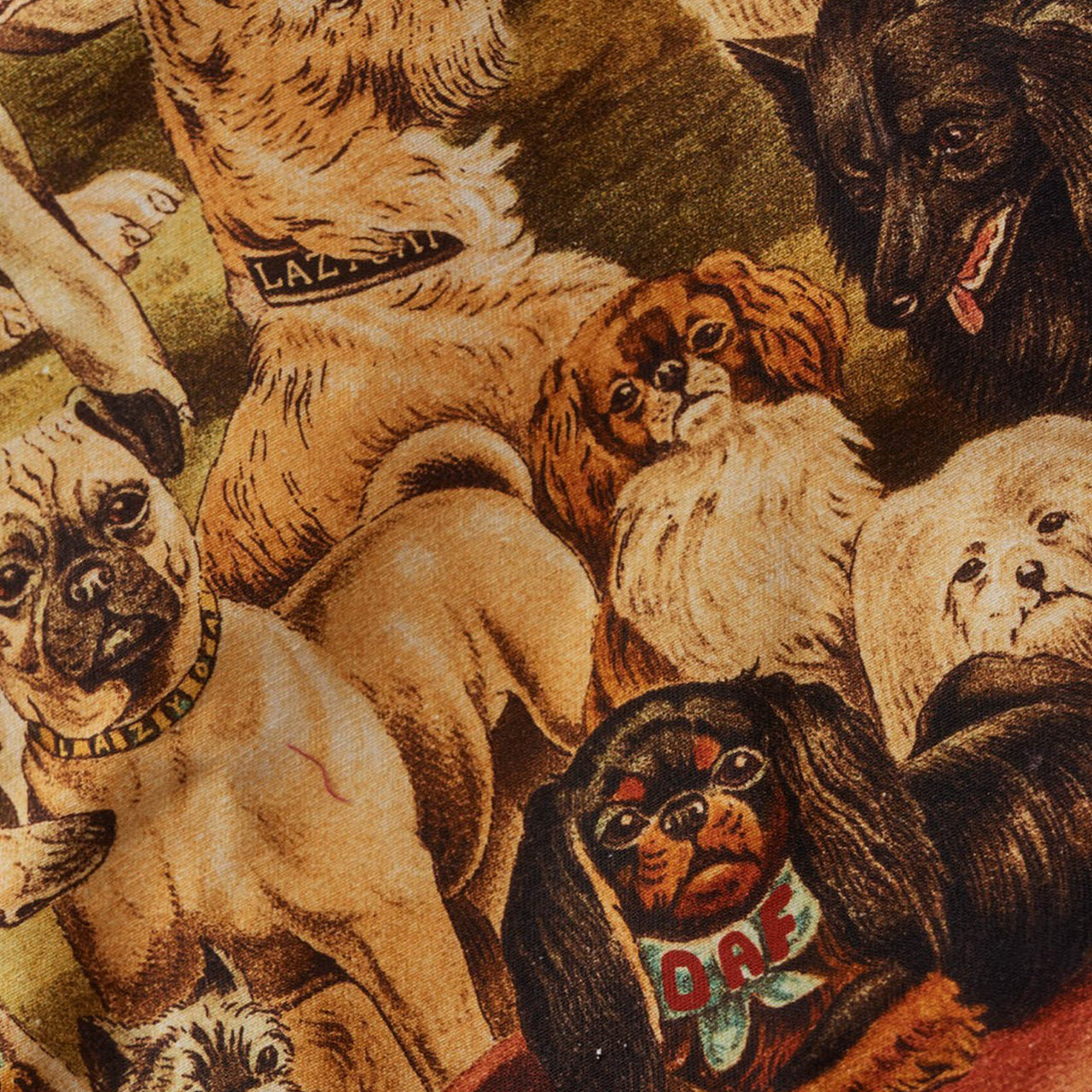 Lazy Oaf Doggy Day Care Tote