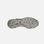 Salomon XT-6 - Grey