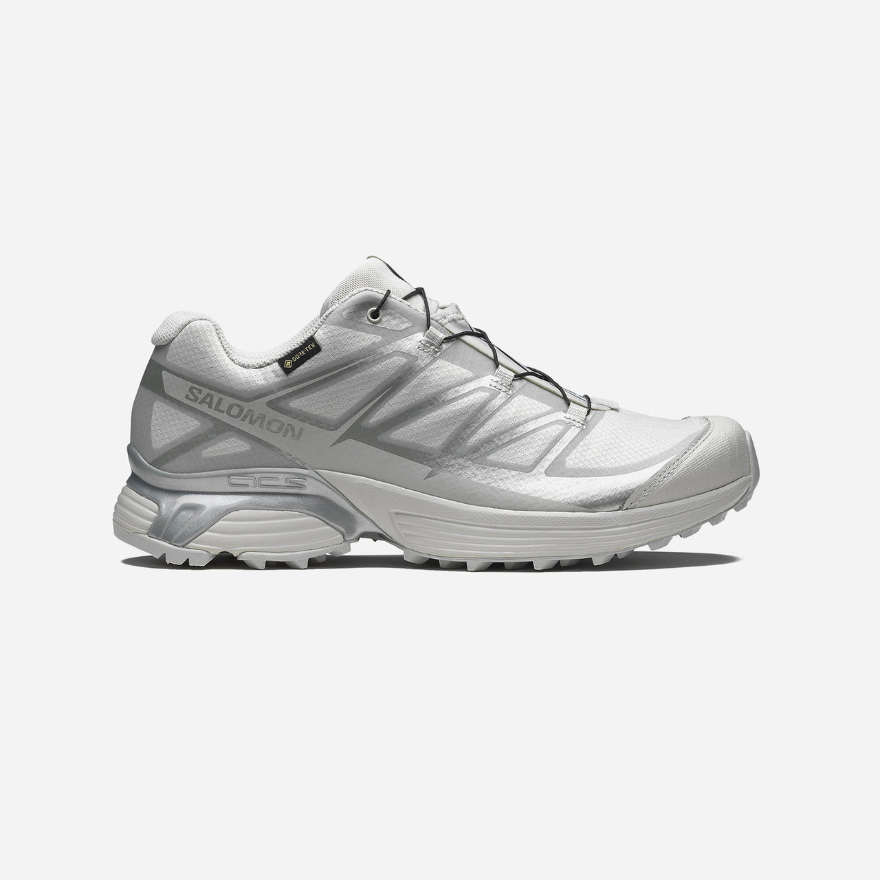 Salomon XT-Pathway GORE-TEX - Lunar Rock / Alloy