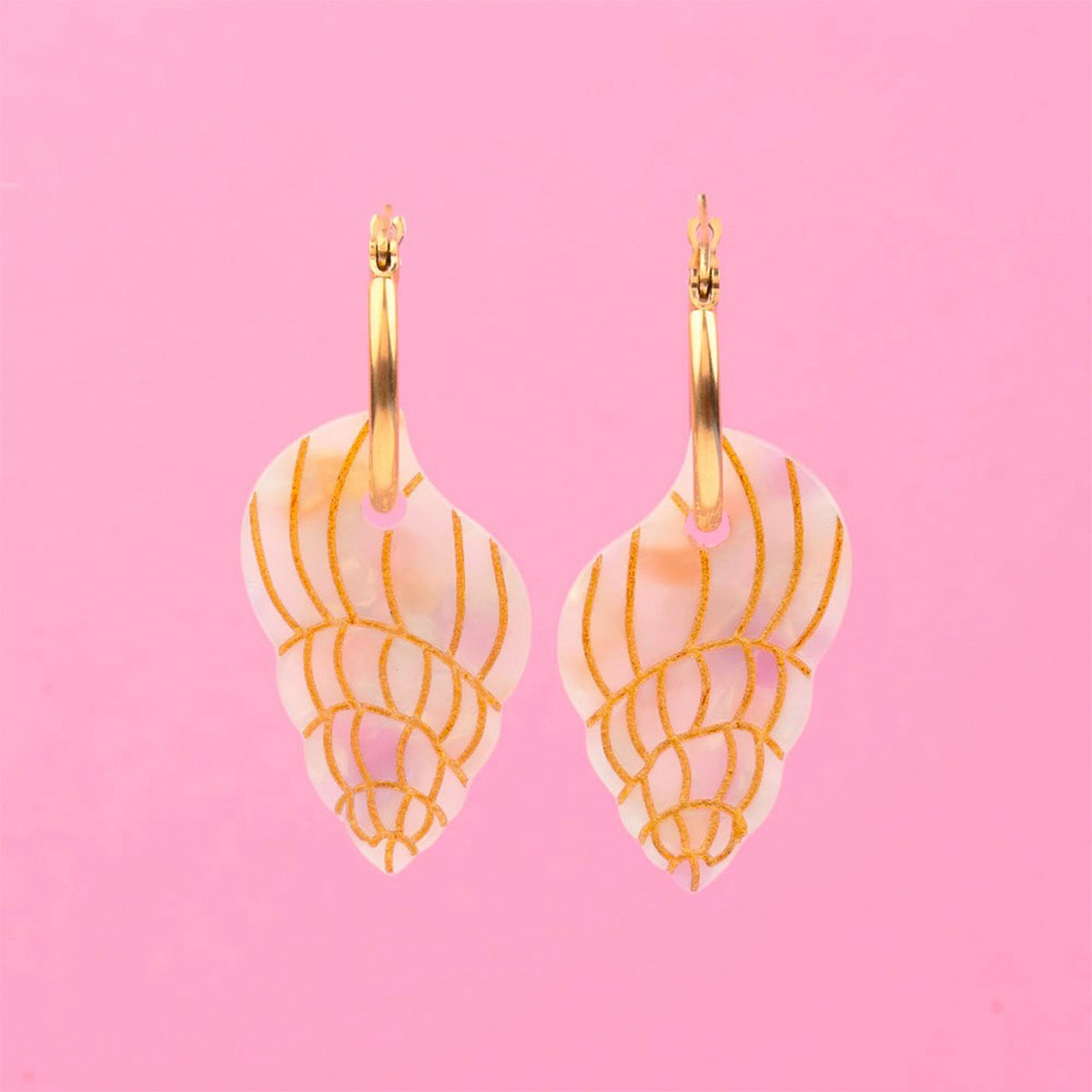 Coucou Suzette Aros - Coquillage
