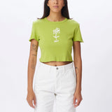 Mini Doodle Flower Cropped Ema Rib T-Shirt - Algae Green