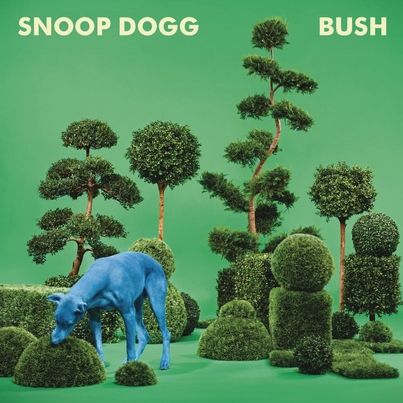 Snoop Dog - Bush