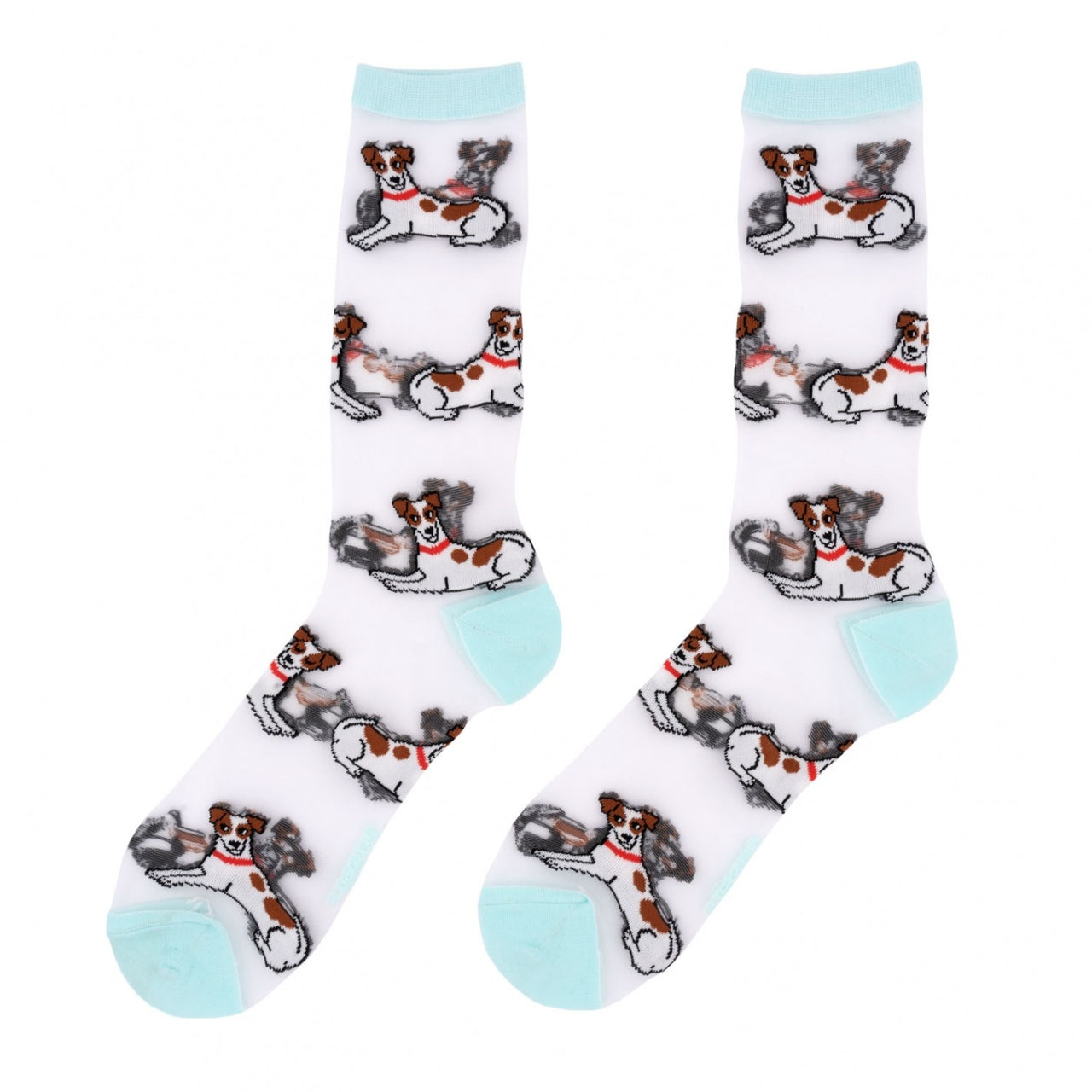 Calcetines - Transparentes Jack Russel