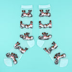 Calcetines - Transparentes Jack Russel