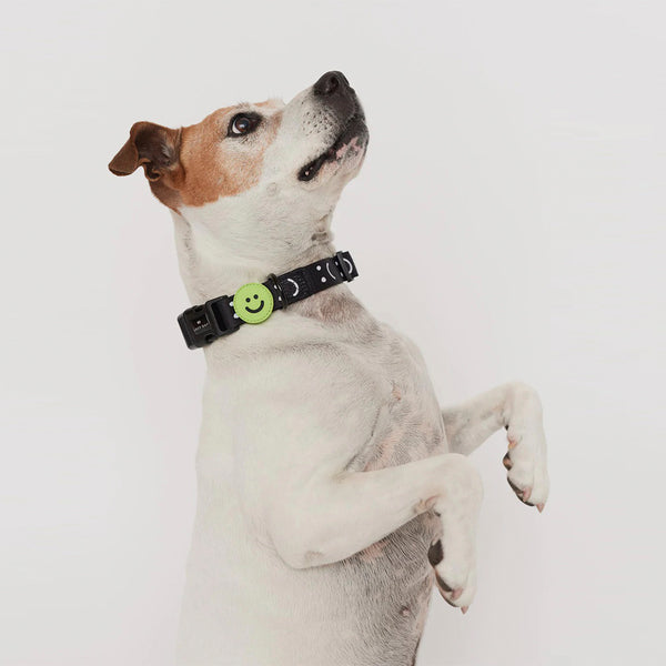Happy Sad Dog Collar